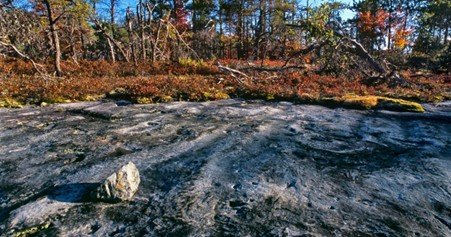 16. Kept From Slipping A narrow path with damp ground at dawn