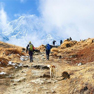 A small group walking together climbing a hill