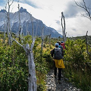 A small group walking together at a distance