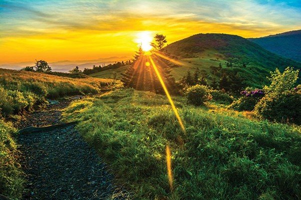 A path visible in full daylight