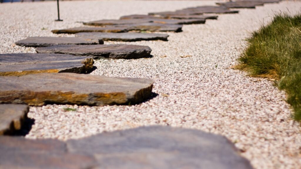 Several walking paths converging toward a grassy clearing in a park