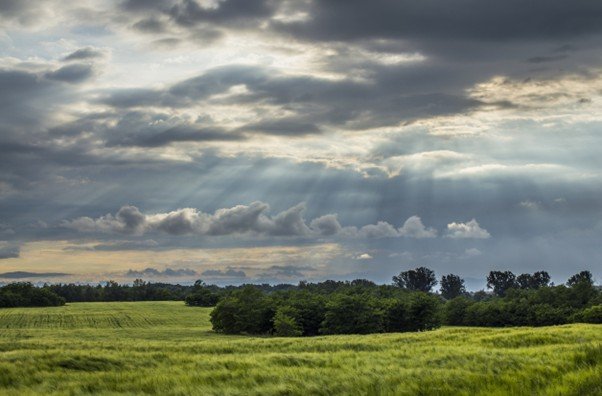 Wide open grassy field beneath a calm lightly clouded sky