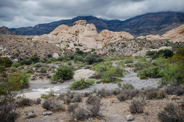 Wide rocky desert plain under a muted overcast sky with distant low hills.