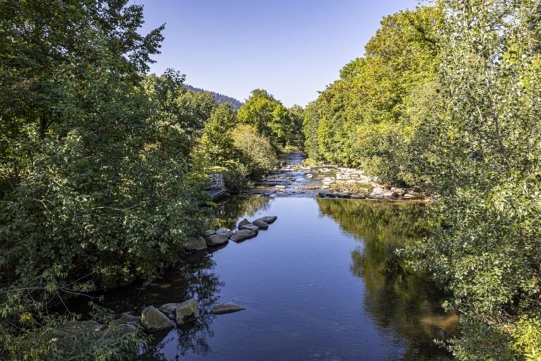 Clear stream flowing gently through pretty rural terrain.
