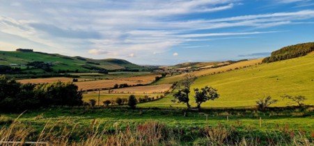 Rolling rural hills under soft overcast sky with no people.