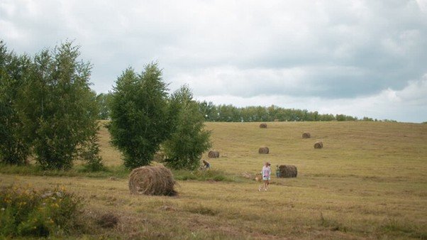 Distant figure standing apart in an open field under cloudy sky.