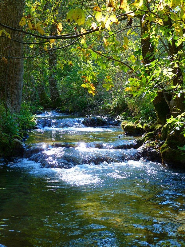 River curving through a wide landscape bordered by trees.