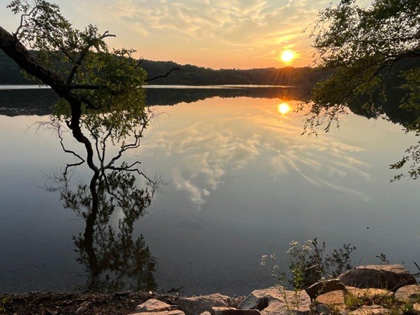 A still pool reflecting trees and sky