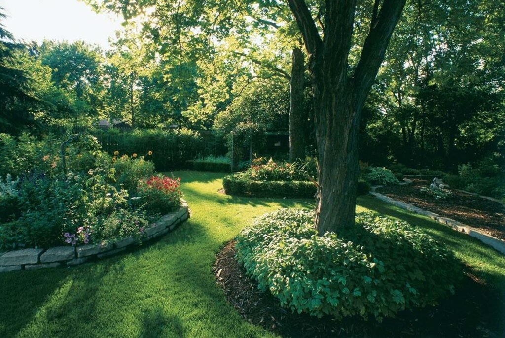 A narrow path leading into sunlight