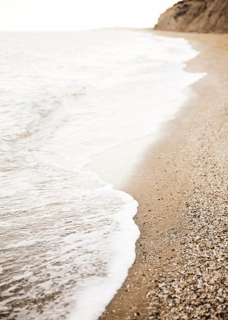 A quiet shoreline under early morning light