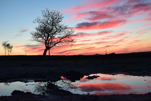 Still water reflecting the evening sky