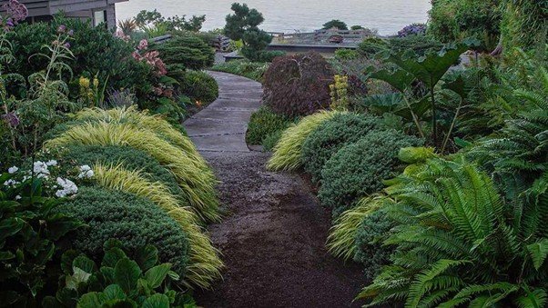 A quiet garden path with morning dew
