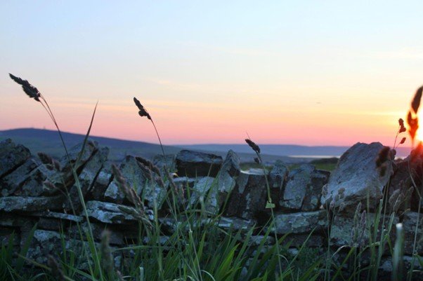Afternoon light falling across a stone wall