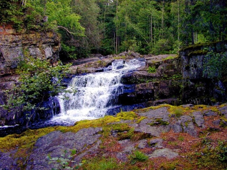 122. To Walk Humbly in the Measure of Ordinary Days A large stream with a waterfall, and a colourful flowery banking.