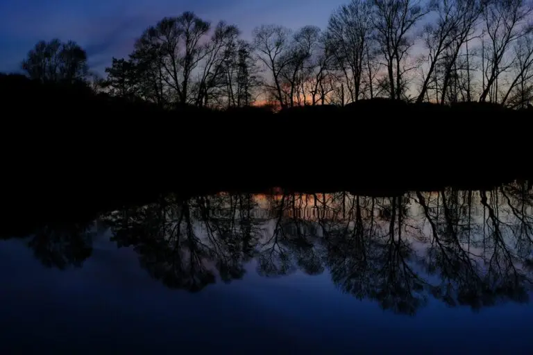 103. Knowing What Cannot Be Shown A person standing at the edge of a wide landscape