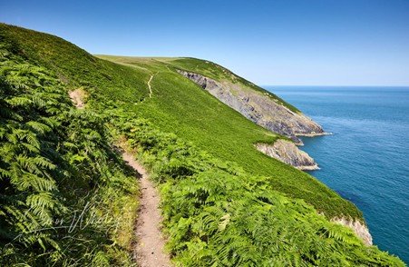Narrow walking path tracing along high coastal cliffs under grey sky.