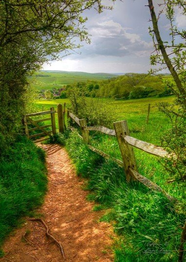 Path between open fields