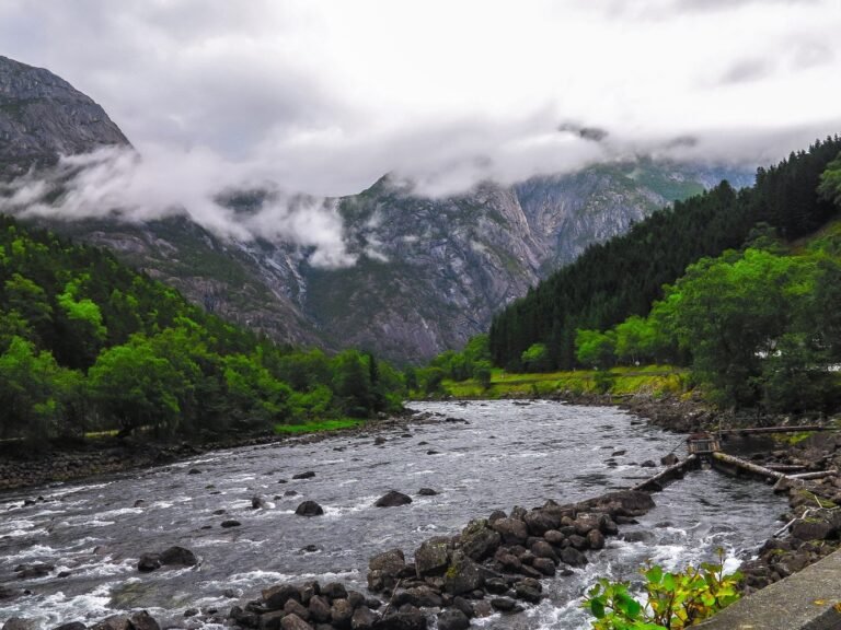 Calm river alongside a path