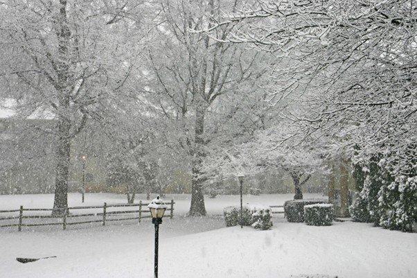 Snow falling on a quiet street