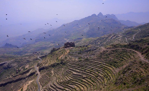 Large terraced quarry with stepped rock walls.