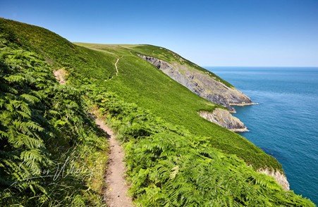 A narrow walking path following a rugged coastal cliff with the sea stretching to the horizon.