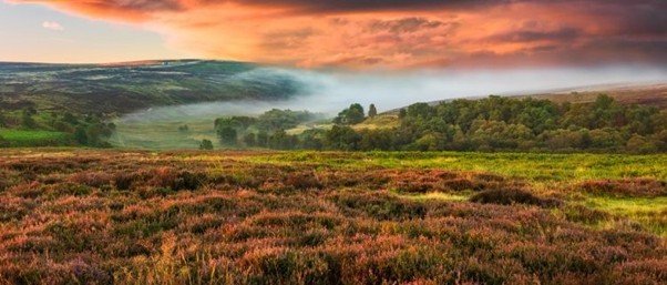A wide moorland plateau covered in rough grass and heather.