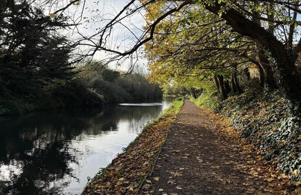 A towpath running beside a narrow canal lined with trees.
