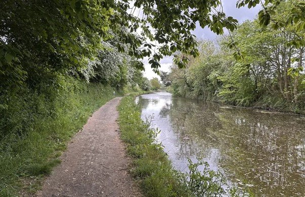 Straight canal towpath running beside calm water with trees lining the banks.