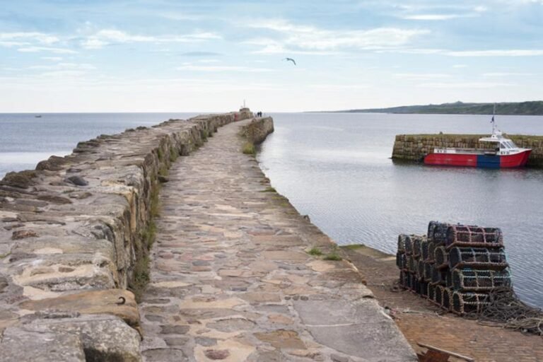 Old pier extending into calm coastal water.