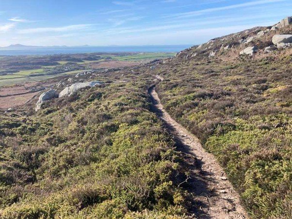 Dirt track crossing open moorland landscape.